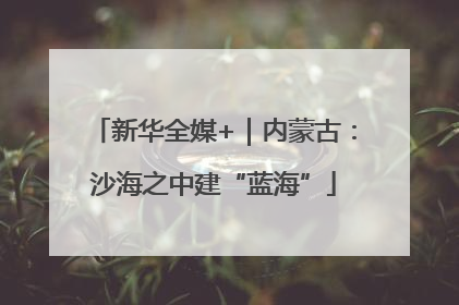 新华全媒+｜内蒙古：沙海之中建“蓝海”