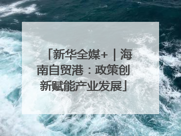 新华全媒+｜海南自贸港：政策创新赋能产业发展