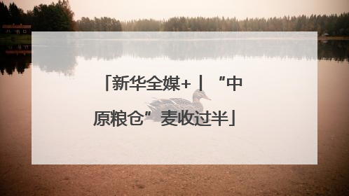 新华全媒+丨“中原粮仓”麦收过半