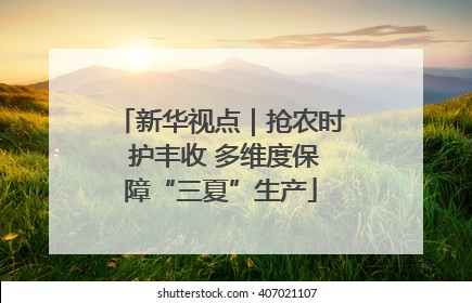 新华视点｜抢农时 护丰收 多维度保障“三夏”生产