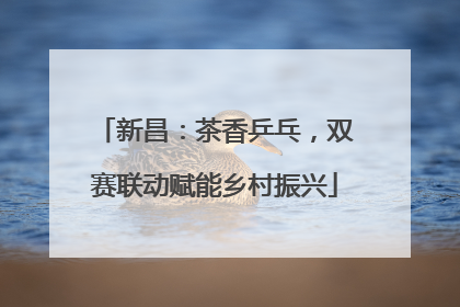 新昌：茶香乒乓，双赛联动赋能乡村振兴