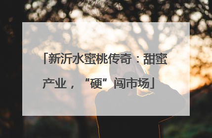 新沂水蜜桃传奇：甜蜜产业，“硬”闯市场