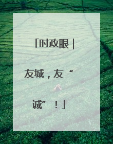时政眼｜友城，友“诚”！