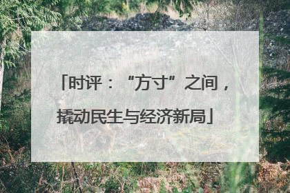 时评：“方寸”之间，撬动民生与经济新局