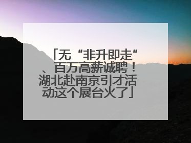 无“非升即走”、百万高薪诚聘！湖北赴南京引才活动这个展台火了