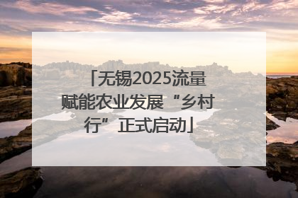 无锡2025流量赋能农业发展“乡村行”正式启动