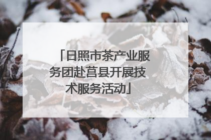 日照市茶产业服务团赴莒县开展技术服务活动