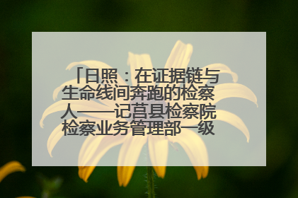 日照：在证据链与生命线间奔跑的检察人——记莒县检察院检察业务管理部一级科员庄肃栋