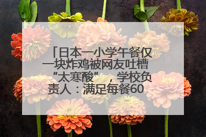 日本一小学午餐仅一块炸鸡被网友吐槽“太寒酸”，学校负责人：满足每餐600千卡的标准