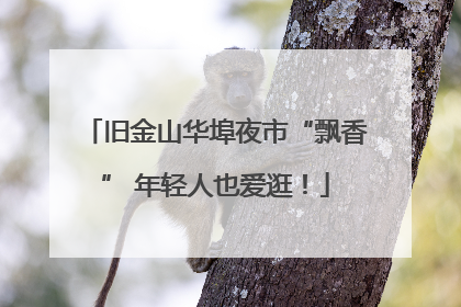 旧金山华埠夜市“飘香” 年轻人也爱逛！