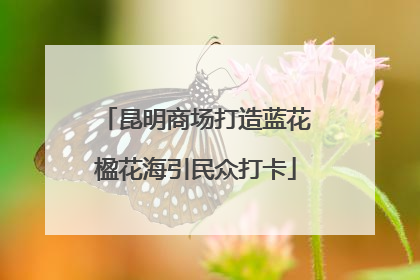 昆明商场打造蓝花楹花海引民众打卡