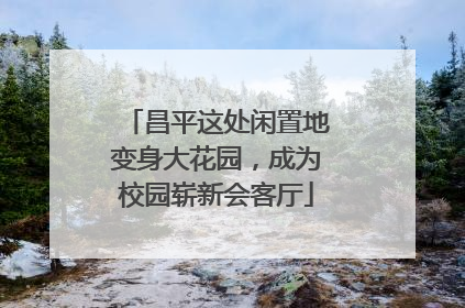 昌平这处闲置地变身大花园，成为校园崭新会客厅