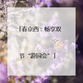 春京西：畅享双节“游园会”