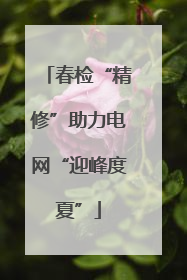 春检“精修”助力电网“迎峰度夏”