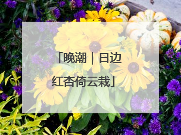 晚潮｜日边红杏倚云栽
