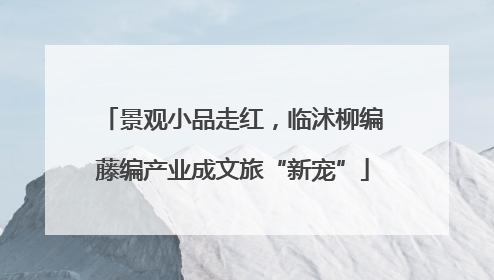 景观小品走红，临沭柳编藤编产业成文旅“新宠”