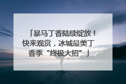 暴马丁香陆续绽放！快来观赏，冰城最美丁香季“终极大招”