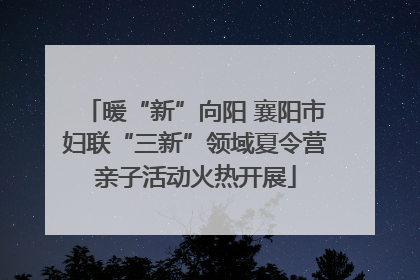 暖“新”向阳 襄阳市妇联“三新”领域夏令营亲子活动火热开展