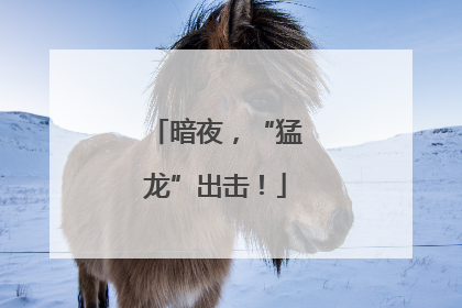 暗夜，“猛龙”出击！