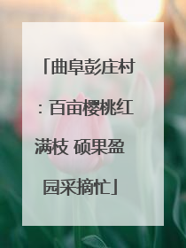 曲阜彭庄村：百亩樱桃红满枝 硕果盈园采摘忙
