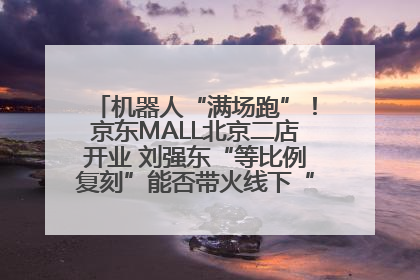 机器人“满场跑”！京东MALL北京二店开业 刘强东“等比例复刻”能否带火线下“618”？
