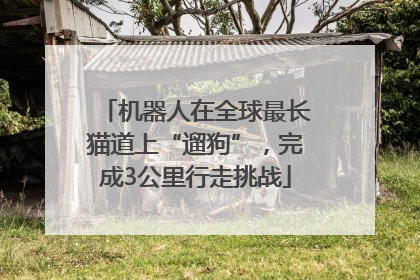 机器人在全球最长猫道上“遛狗”，完成3公里行走挑战