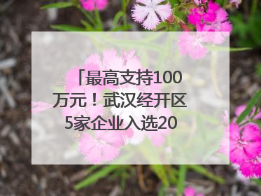 最高支持100万元！武汉经开区5家企业入选2025年度武汉市重点研发计划拟立项项目名单