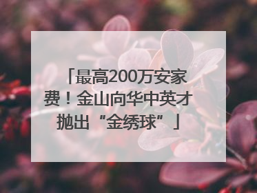 最高200万安家费！金山向华中英才抛出“金绣球”