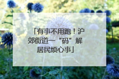 有事不用跑！沪郊街道一“码”解居民烦心事