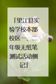 望江县实验学校本部校区一、二年级无纸笔测试活动侧记