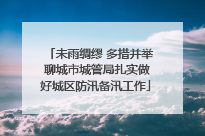 未雨绸缪 多措并举 聊城市城管局扎实做好城区防汛备汛工作