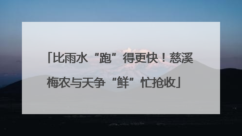 比雨水“跑”得更快！慈溪梅农与天争“鲜”忙抢收