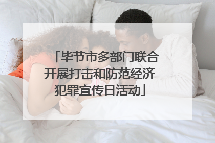 毕节市多部门联合开展打击和防范经济犯罪宣传日活动