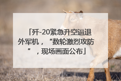 歼-20紧急升空逼退外军机，“数轮激烈攻防”，现场画面公布
