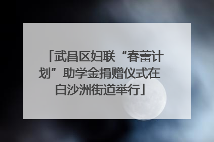 武昌区妇联“春蕾计划”助学金捐赠仪式在白沙洲街道举行