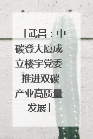 武昌：中碳登大厦成立楼宇党委 推进双碳产业高质量发展