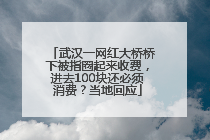 武汉一网红大桥桥下被指圈起来收费，进去100块还必须消费？当地回应