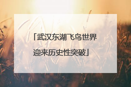 武汉东湖飞鸟世界迎来历史性突破