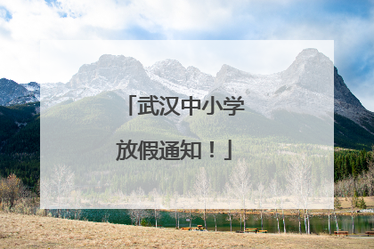 武汉中小学放假通知！