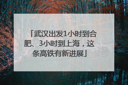 武汉出发1小时到合肥、3小时到上海，这条高铁有新进展