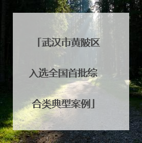 武汉市黄陂区入选全国首批综合类典型案例