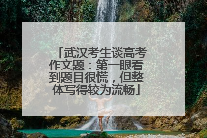 武汉考生谈高考作文题：第一眼看到题目很慌，但整体写得较为流畅