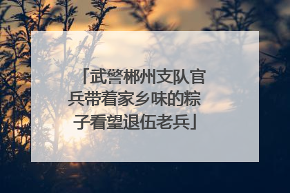 武警郴州支队官兵带着家乡味的粽子看望退伍老兵