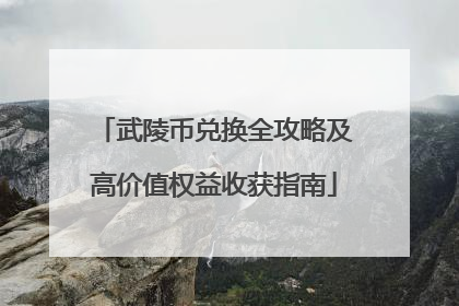 武陵币兑换全攻略及高价值权益收获指南