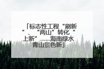 标志性工程“刷新”、“两山”转化“上新”……海南绿水青山景色新