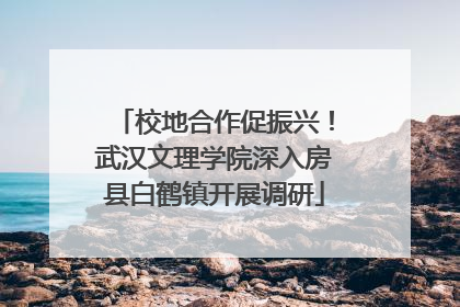 校地合作促振兴！武汉文理学院深入房县白鹤镇开展调研