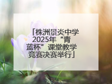 株洲景炎中学2025年“青蓝杯”课堂教学竞赛决赛举行
