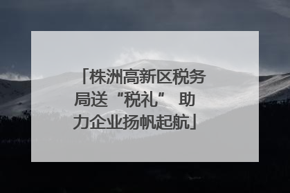 株洲高新区税务局送“税礼” 助力企业扬帆起航