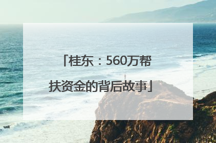 桂东：560万帮扶资金的背后故事