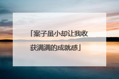 案子虽小却让我收获满满的成就感